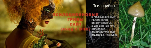 бошки Алексеевка