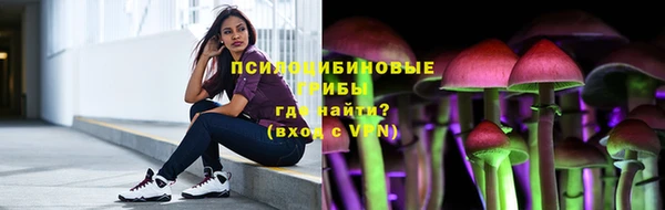 бошки Алексеевка