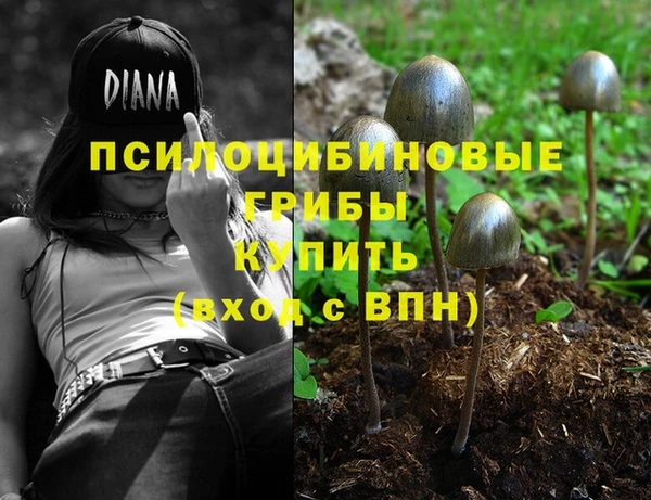 мескалин Алексин
