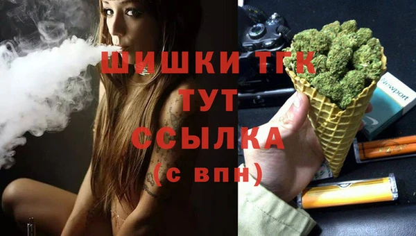 ГАЛЛЮЦИНОГЕННЫЕ ГРИБЫ Алзамай