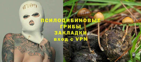 ГАЛЛЮЦИНОГЕННЫЕ ГРИБЫ Алзамай