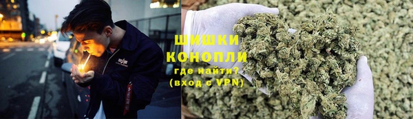 ГАЛЛЮЦИНОГЕННЫЕ ГРИБЫ Алзамай